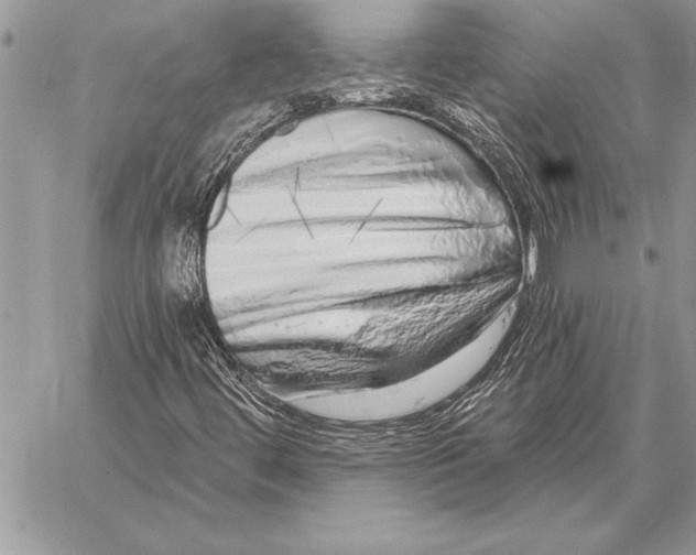X0000059101444200510281802
