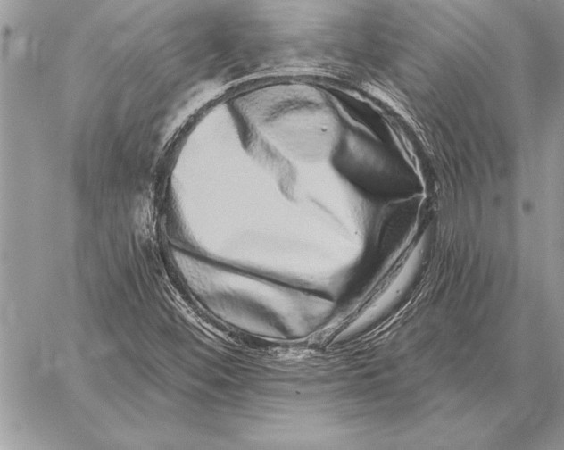 X0000059101452200510281802