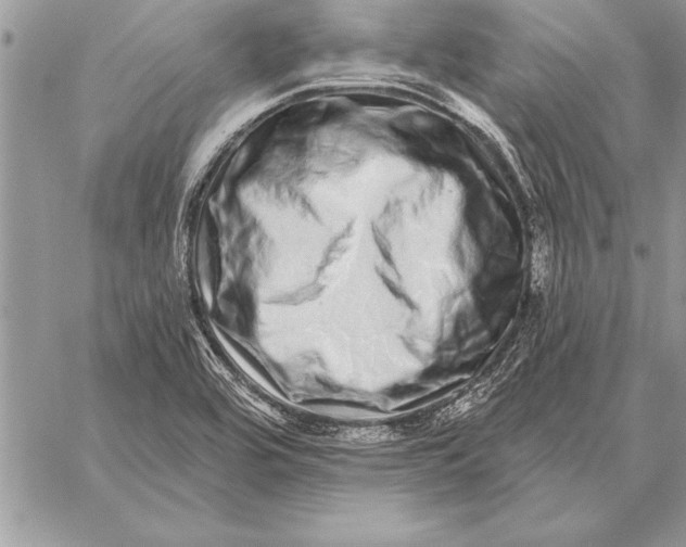 X0000059101464200510281802