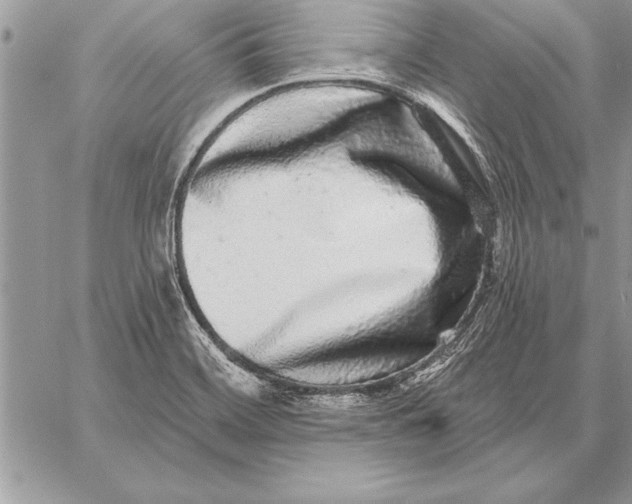 X0000059101468200510281802