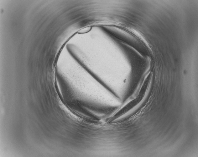 X0000059101476200510281802