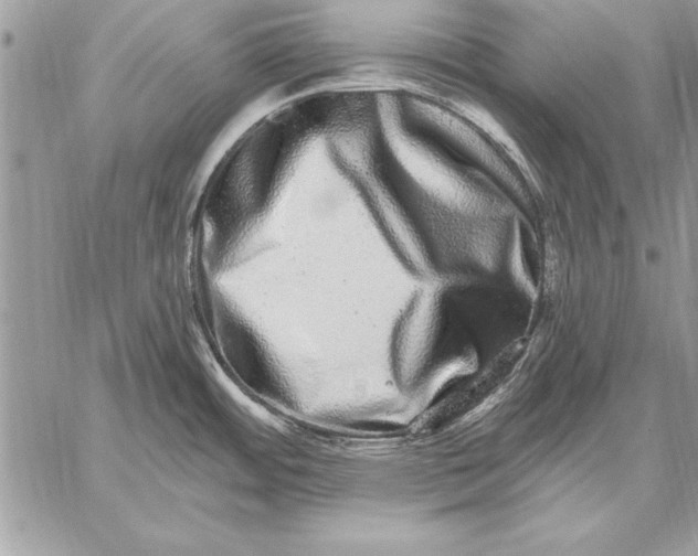 X0000059101484200510281801