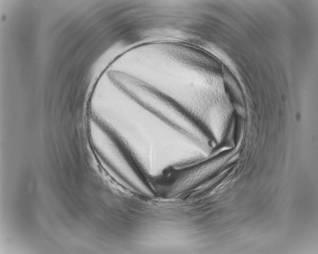 X0000059101488200510281801
