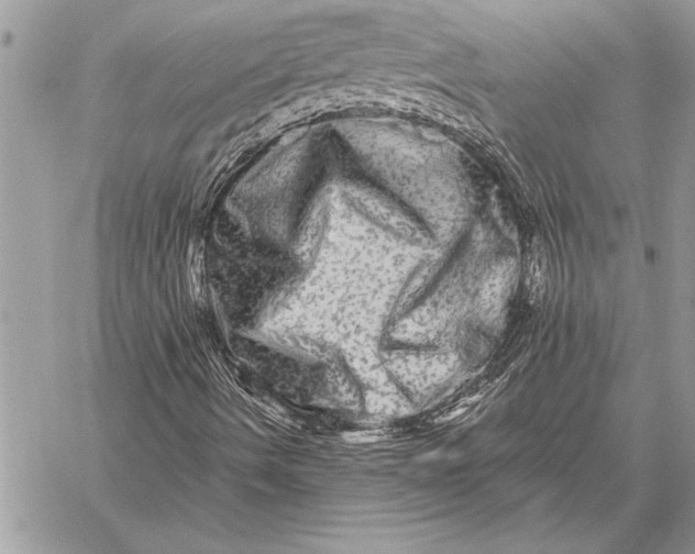 X0000059101490200510281801