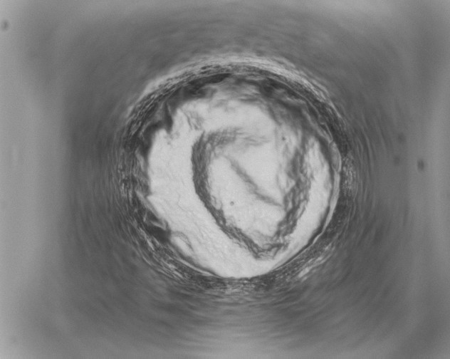X0000059101494200510281801