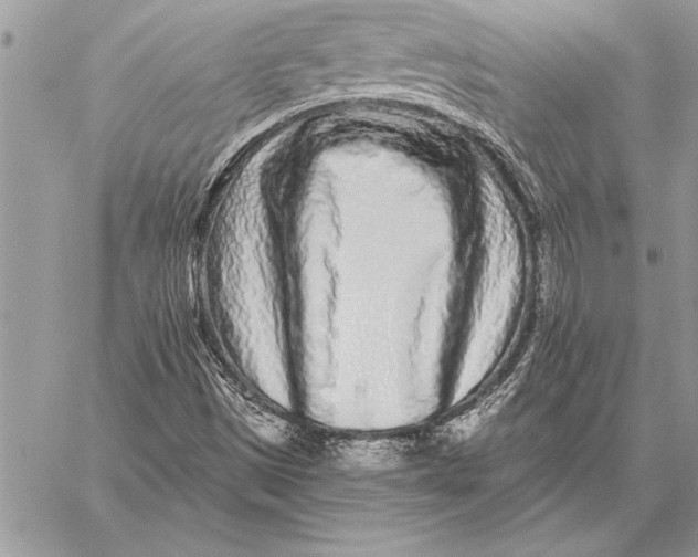 X0000059101497200510281801