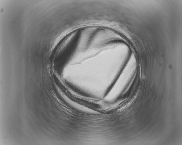 X0000059101501200510281801