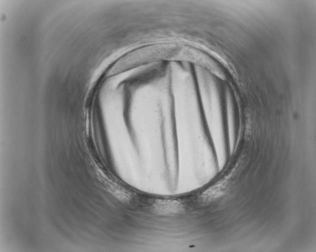 X0000059101509200510281801