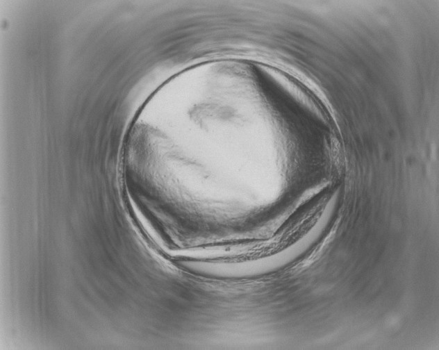 X0000059101533200510281801
