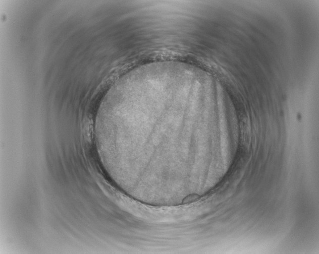 X0000059100038200511041925