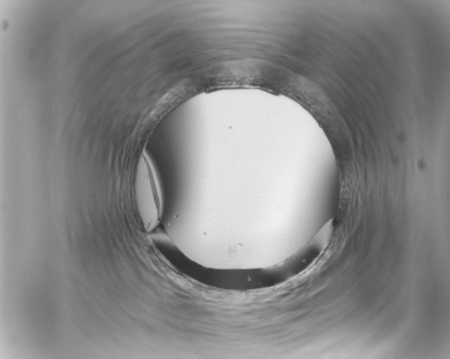 X0000059100045200511041925