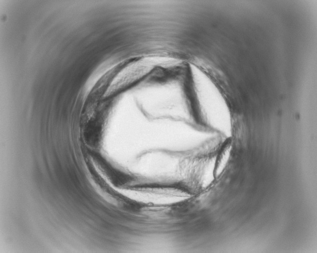 X0000059100051200511041924