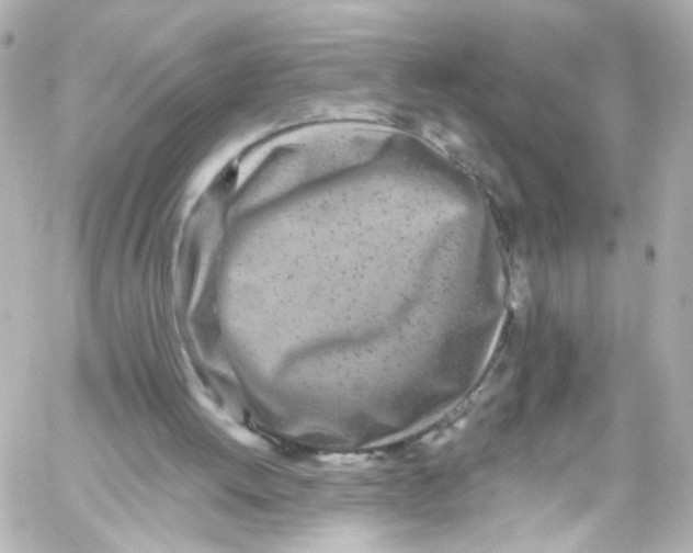 X0000059100052200511041924