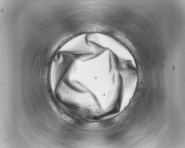 X0000059100058200511041924