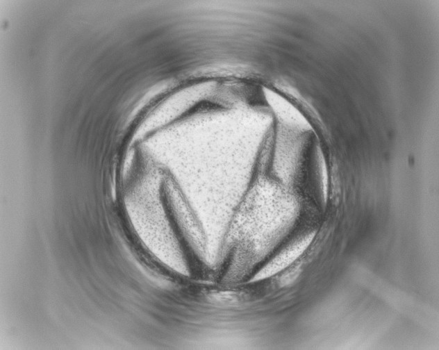 X0000059100062200511041924