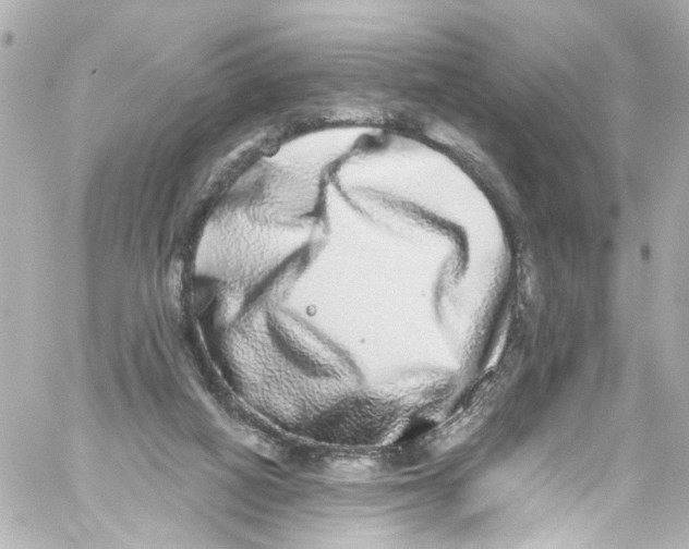 X0000059100066200511041924