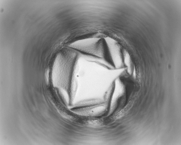 X0000059100070200511041924