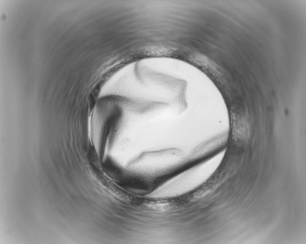 X0000059100071200511041924