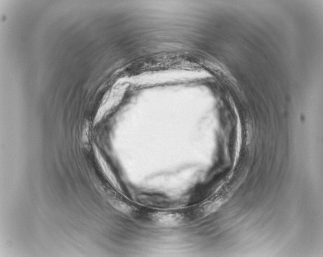 X0000059100073200511041924