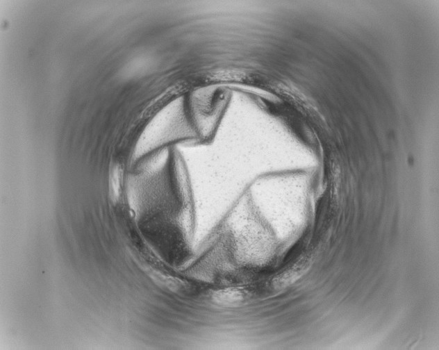 X0000059100075200511041924