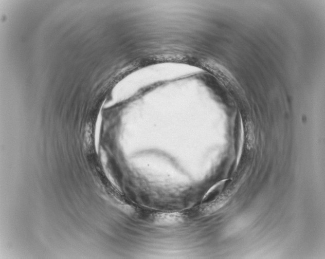 X0000059100077200511041924