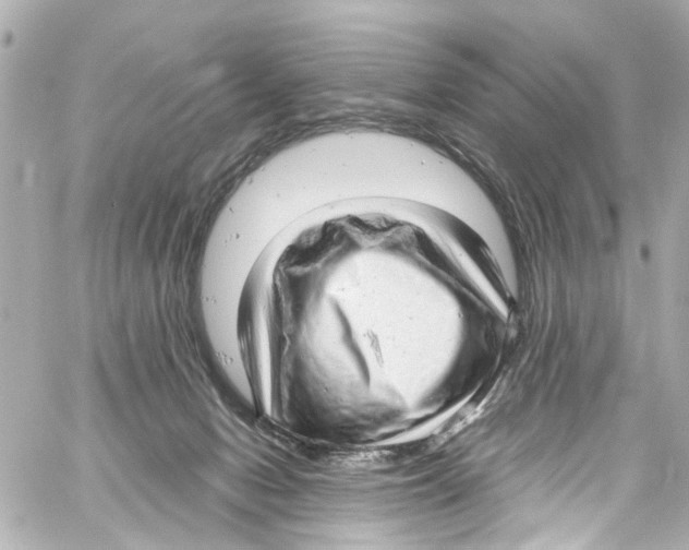 X0000059100078200511041924