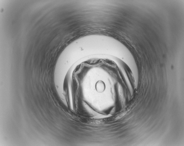 X0000059100079200511041924