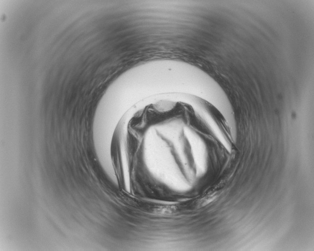 X0000059100080200511041924