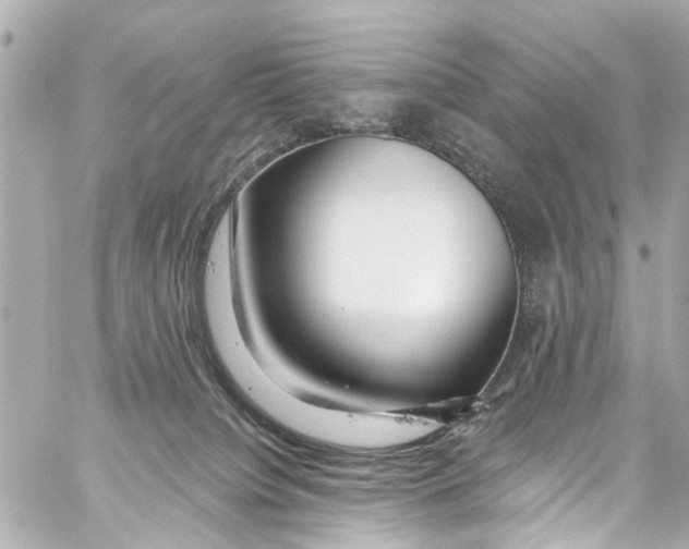 X0000059100084200511041925