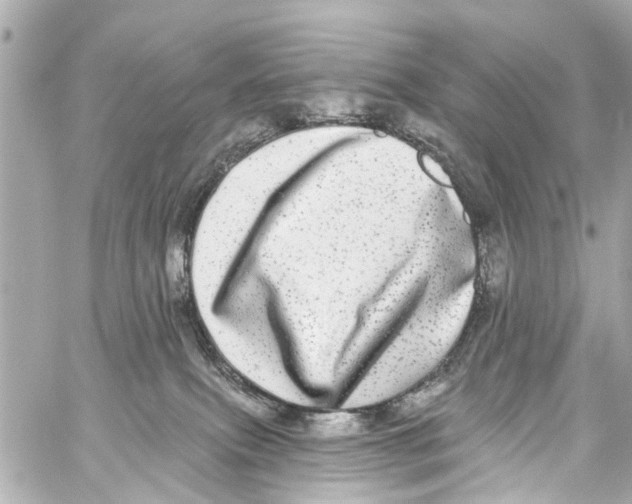X0000059100087200511041925