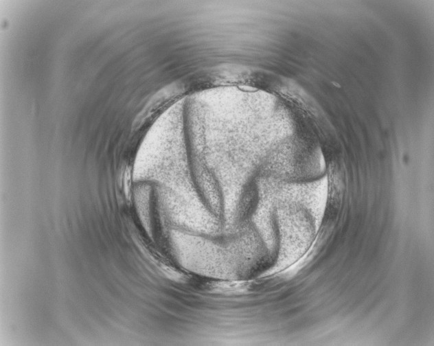 X0000059100094200511041925