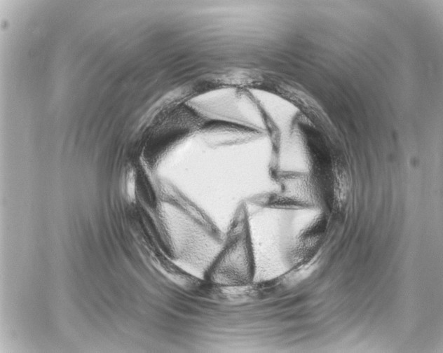 X0000059100095200511041925