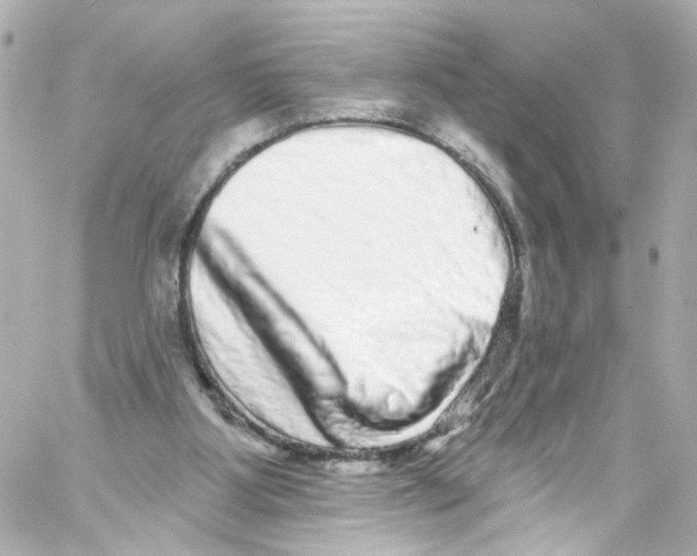 X0000059100107200511041924