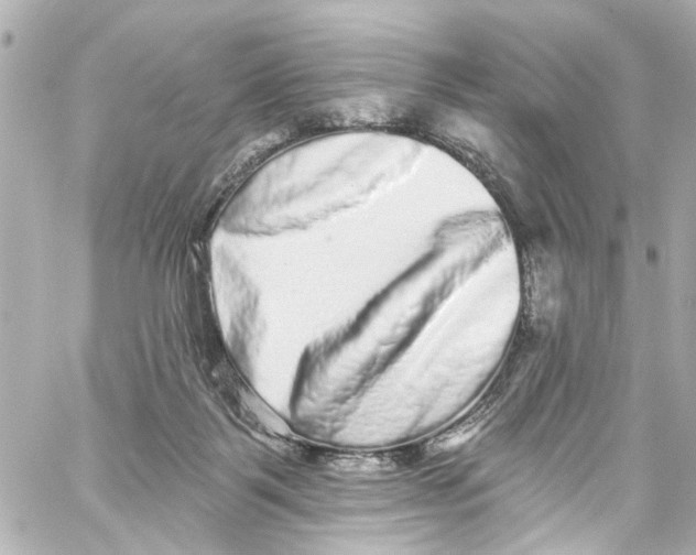 X0000059100123200511041923