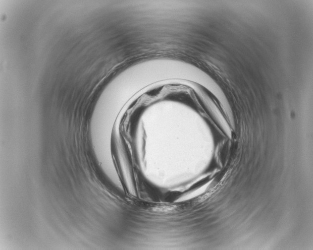 X0000059100172200511041923