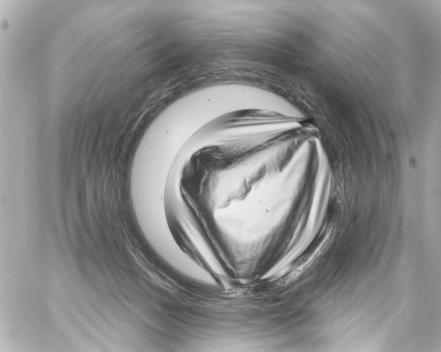 X0000059100175200511041923
