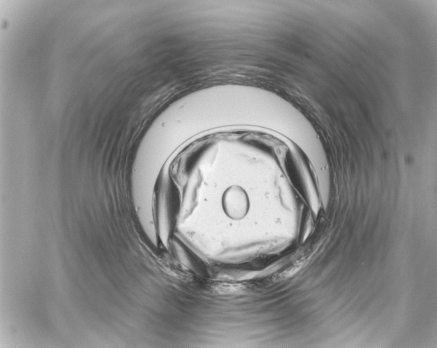 X0000059100189200511041923