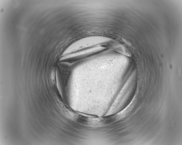 X0000059100192200511041923