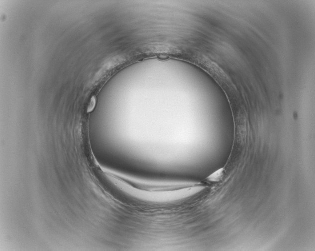X0000059100207200511041922
