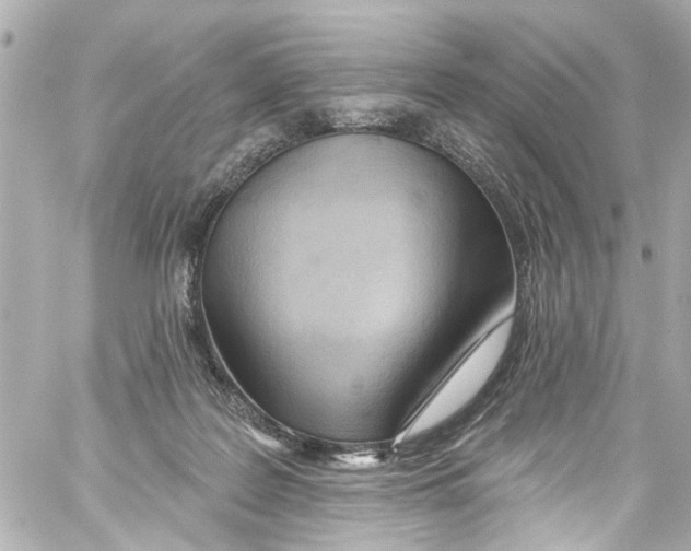 X0000059100219200511041922