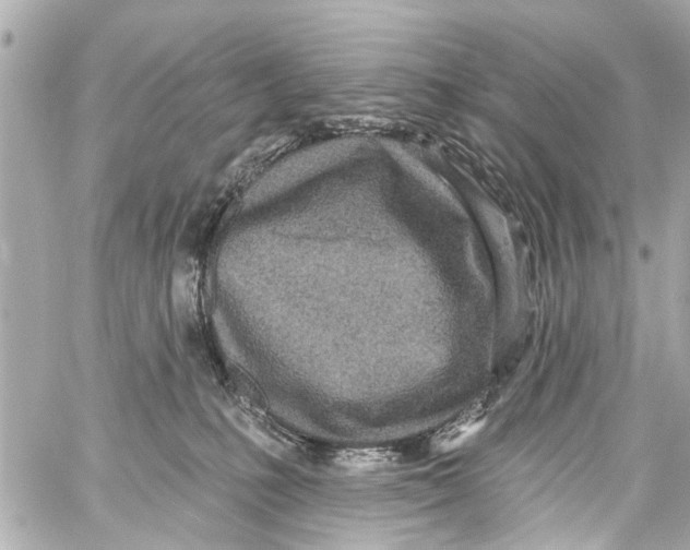 X0000059100231200511041922