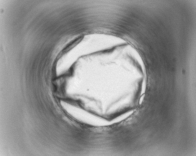 X0000059100241200511041921