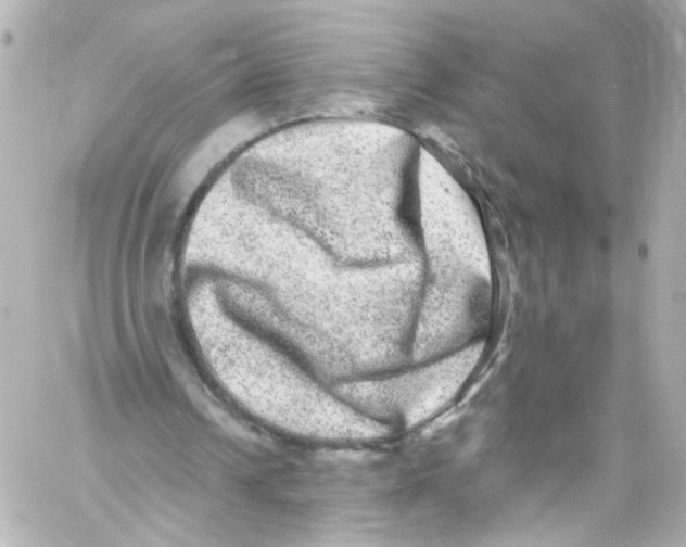 X0000059100242200511041921