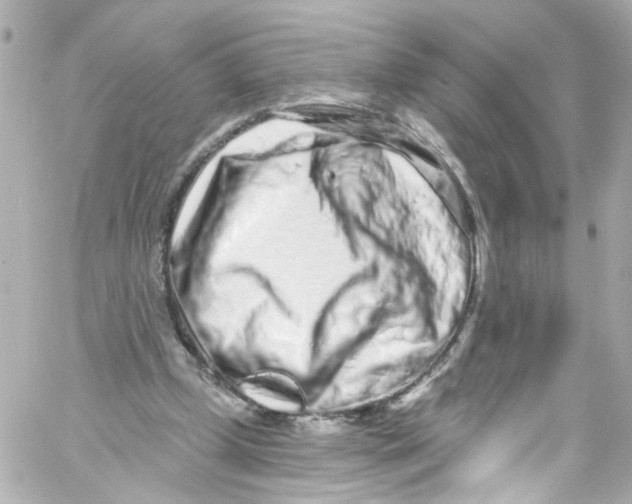 X0000059100249200511041921