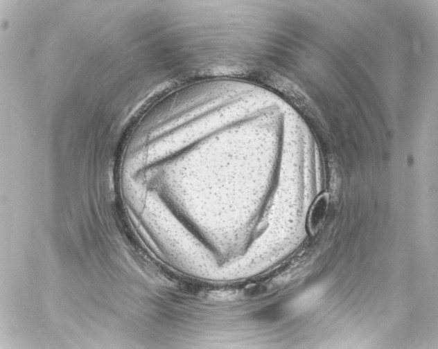 X0000059100251200511041921