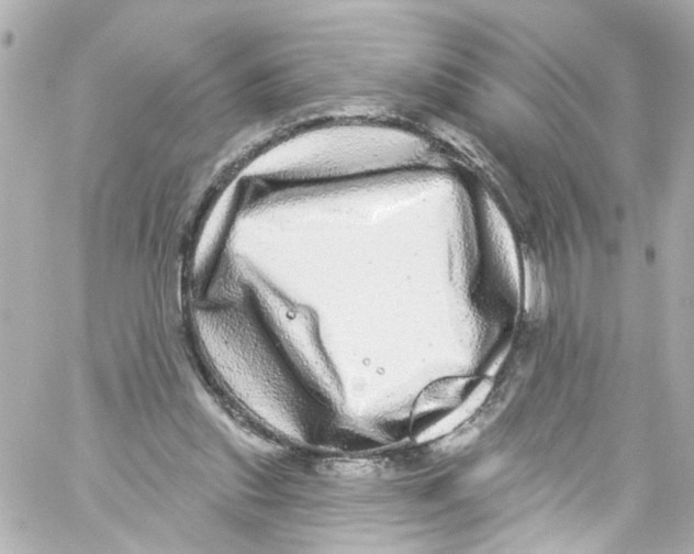 X0000059100253200511041921