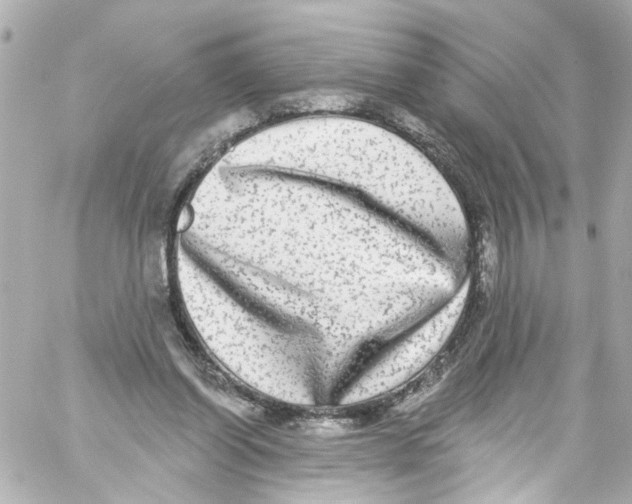 X0000059100254200511041921