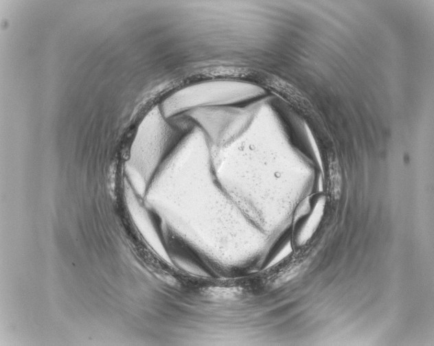 X0000059100255200511041921