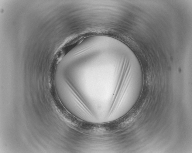 X0000059100256200511041921