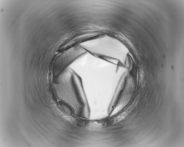 X0000059100257200511041921